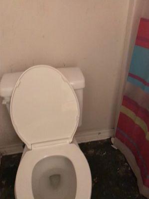 Before and after clean toilet and shower