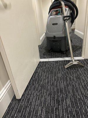 Carpet cleaning