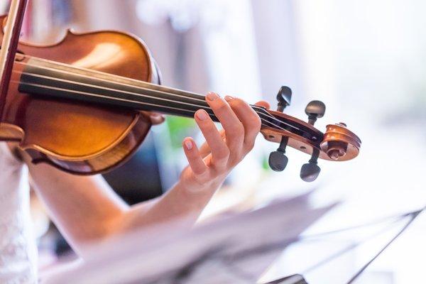 Violin and Viola Lessons