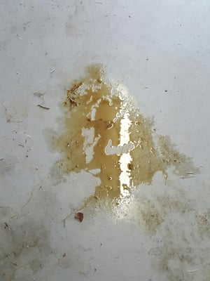 Oil leak after Valvoline Instant Oil Change in Hershey PA performed a simple oil change.