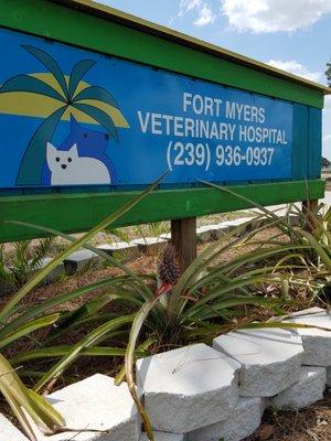 Kay Sauer, DVM - Fort Myers Veterinary Hospital