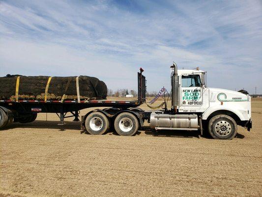 New Lawn Sod Farm