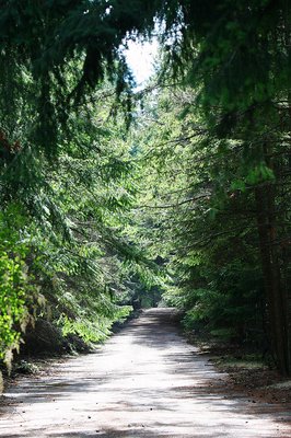 Walking Path at Clover Valley Park