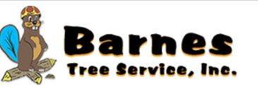 Barnes Tree SVC