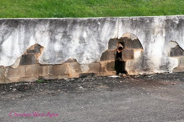 Crumbling retaining wall