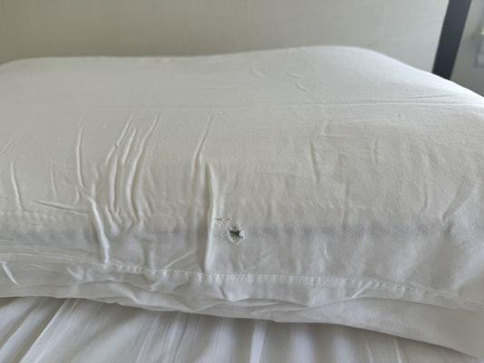 Torn Pillow Case