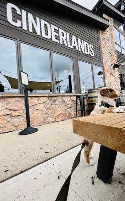 Cinderlands Patio for Dog Days