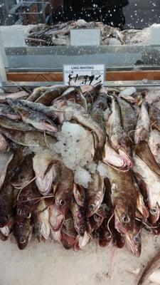 Ling fish is amazing and at $1.99 lb