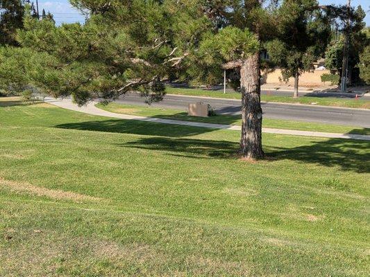 Looking down the hill of Reservoir Hill Park