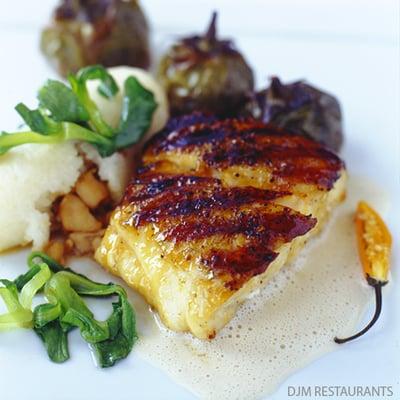 Peter's Florida Seafood Grouper by Chef Dean James Max