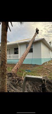 Tree removal from hurricane