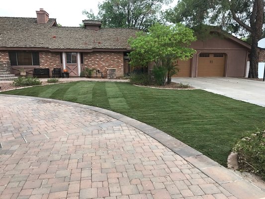 new lawn queen creek az