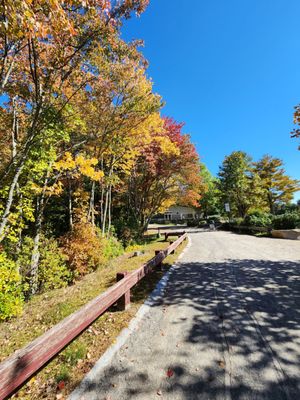 Houghton's Pond Recreation Area