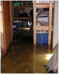 Water Damage Services in Los Angeles, CA