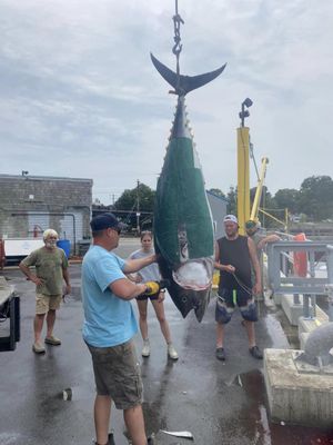 Hooked on Fish Charters, New Hampshire Fishing Charters Boat Charters Portsmouth NH Rye NH Ashley Victoria Tuna