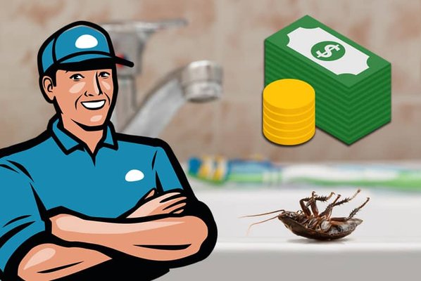 Pest Control Services