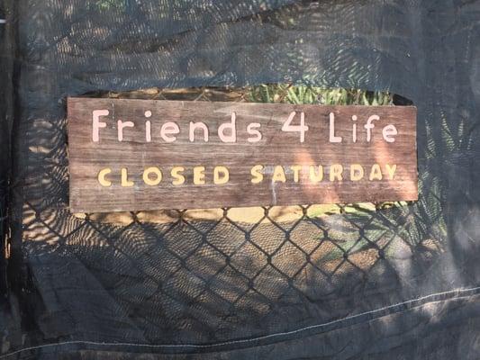 Small sign on the fence across from Kea'au beach park