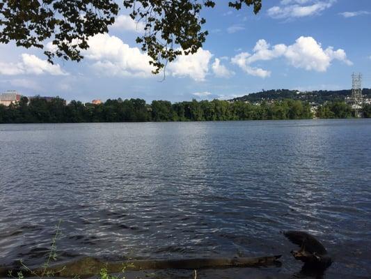 Sitting along the river at the park.