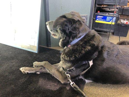 Bosley listening to all the employees