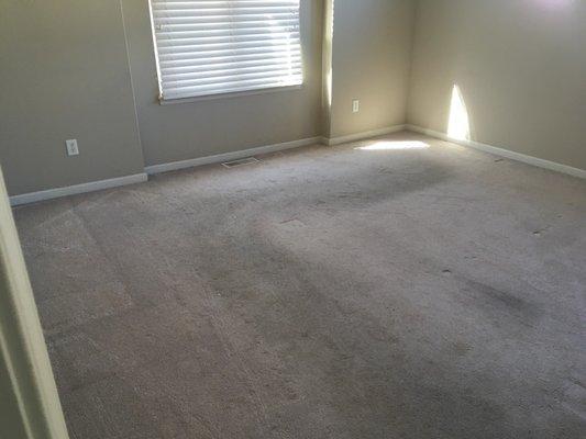 Before picture of customer's carpet.