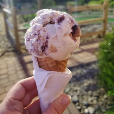 Blueberry cheesecake ice cream