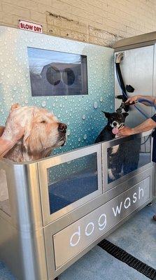 New pet wash machine