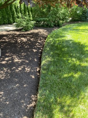 After of cleanup and mulch job