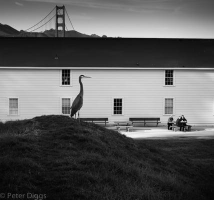 GG Bridge