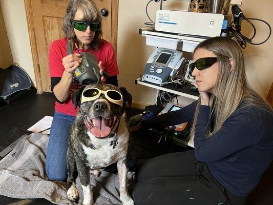 Georgey getting soothing laser treatment.