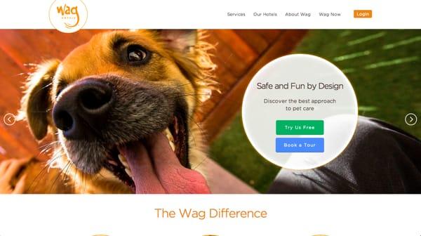 WordPress Website  Design for Wag Hotel