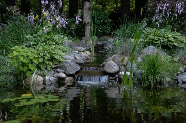 Tranquil pool and waterfall