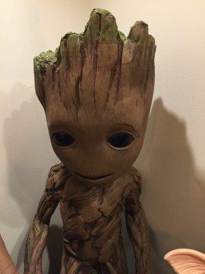 Groot Jr