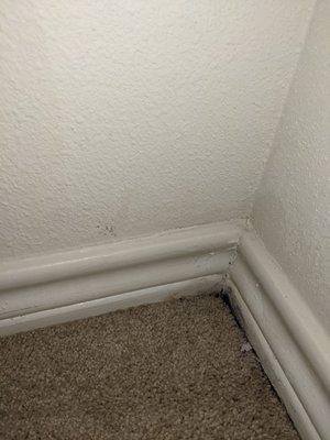 Mold from 4th A/C flood in closet at Villa De San Antonio