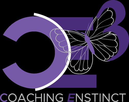 Coaching Enstinct 3