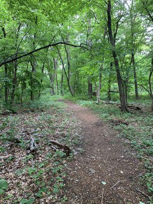 This is the double track entrance to nature Canyon Park