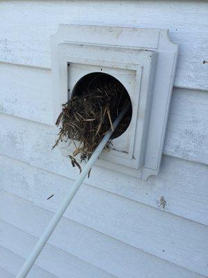 Dryer vent cleaning