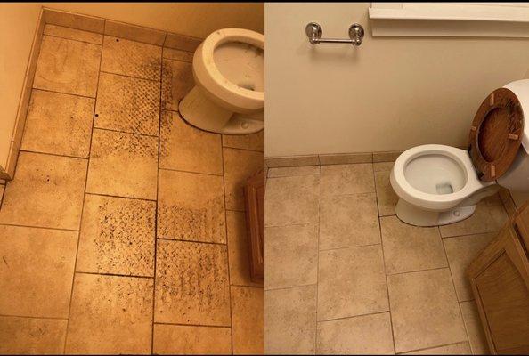 Toilet and tiles deep cleaned.