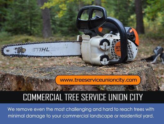 Commercial Tree Service Union City