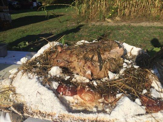 Veal Leg Cooked With Hay