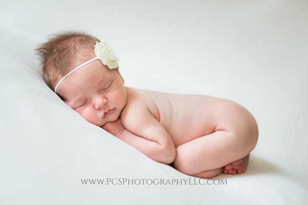 Bucks County Newborn Photographer