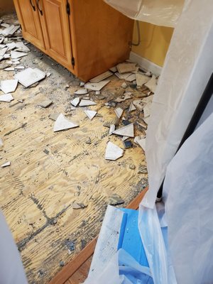 Broke up the old ceramic floor and disposed of it too!