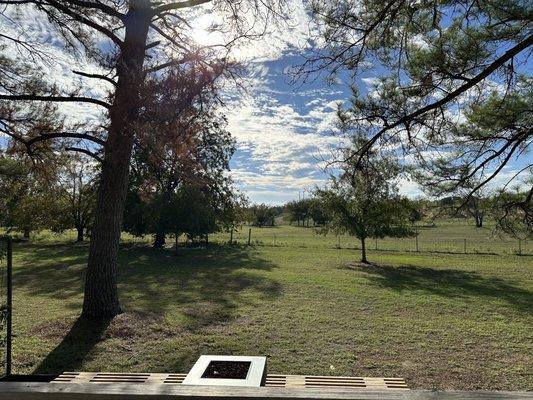 View of the back yard