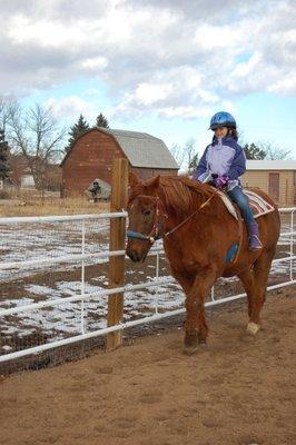 2BG Equestrian School