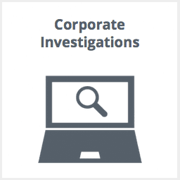 Corporate Investigation Services