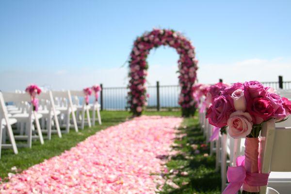 Garden Wedding arch, aisle nosegays & carper of rose petals