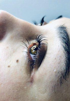 Lash lift