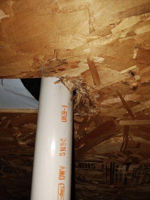 Attic plumbing handyman general Contractor painting