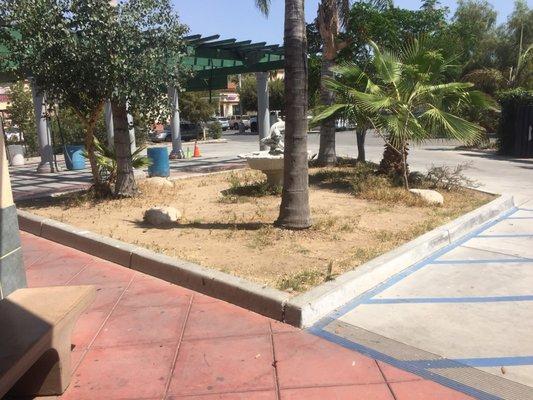 The grass is dead, this place looks deserted. Fountain is dry & empty