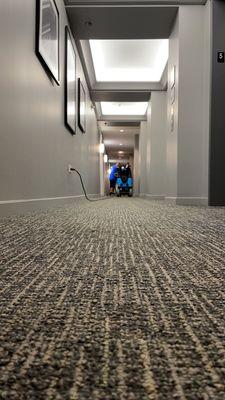 commercial carpet cleaning