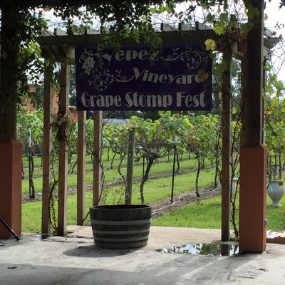 Grape Stomp Fest 2017 Picture perfect area